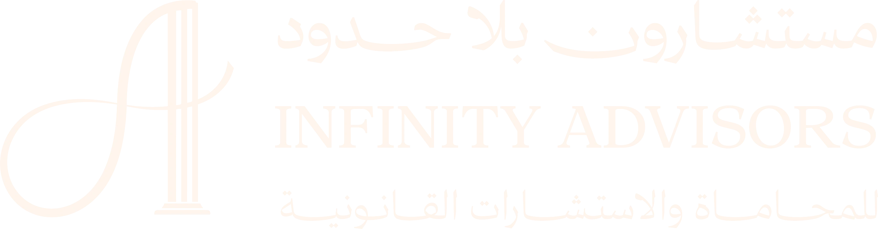 مستشارون بلا حدود